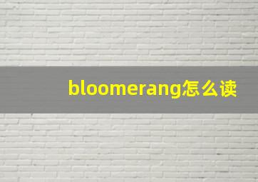 bloomerang怎么读