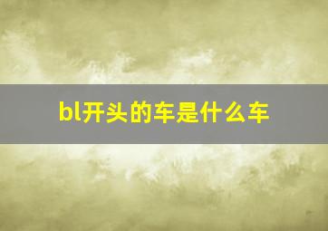 bl开头的车是什么车