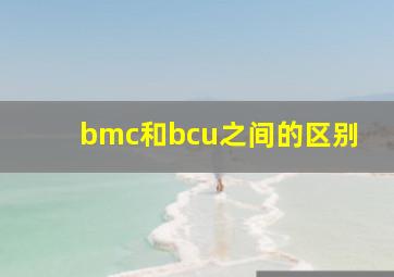 bmc和bcu之间的区别