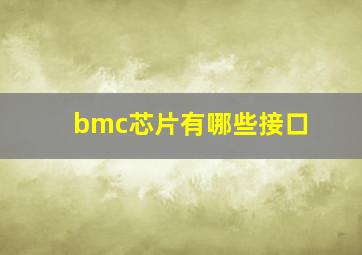 bmc芯片有哪些接口