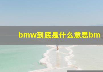 bmw到底是什么意思bm