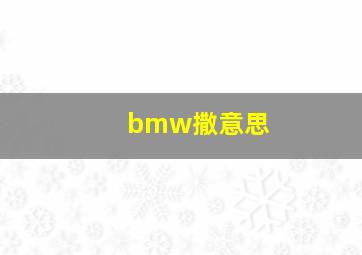 bmw撒意思