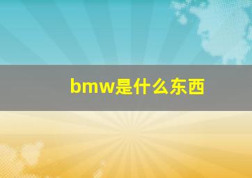 bmw是什么东西