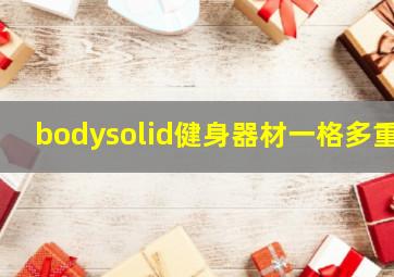 bodysolid健身器材一格多重