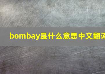 bombay是什么意思中文翻译