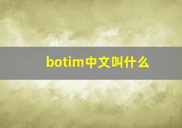 botim中文叫什么