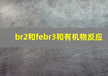 br2和febr3和有机物反应