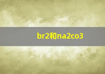 br2和na2co3