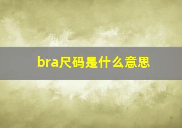 bra尺码是什么意思