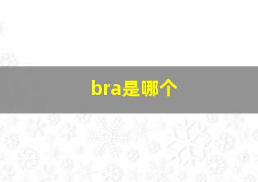 bra是哪个