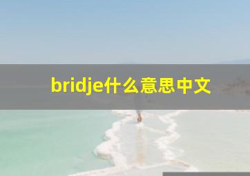 bridje什么意思中文