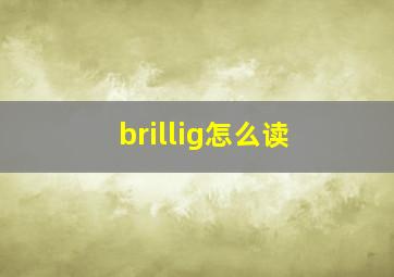 brillig怎么读