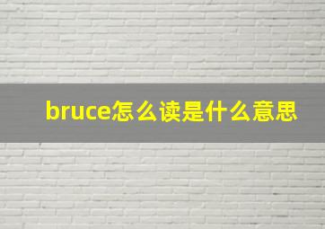 bruce怎么读是什么意思