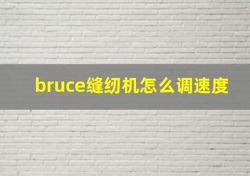 bruce缝纫机怎么调速度