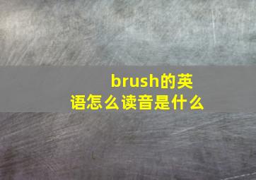 brush的英语怎么读音是什么