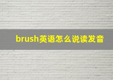 brush英语怎么说读发音