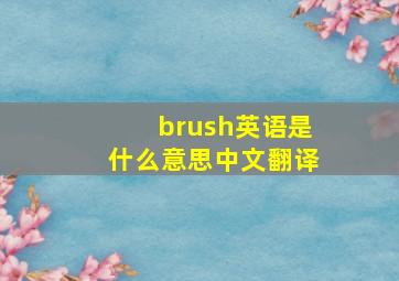 brush英语是什么意思中文翻译