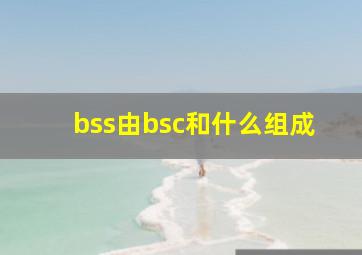 bss由bsc和什么组成