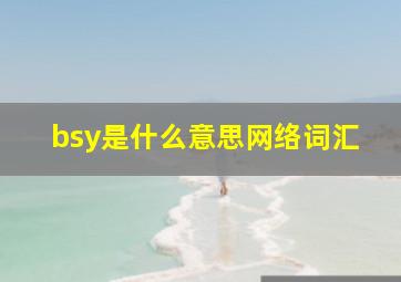 bsy是什么意思网络词汇