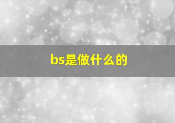 bs是做什么的