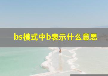 bs模式中b表示什么意思