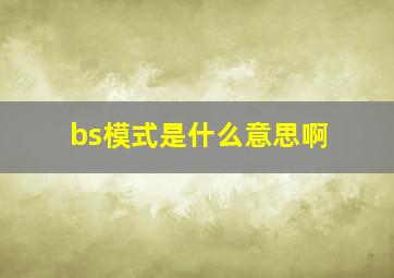 bs模式是什么意思啊