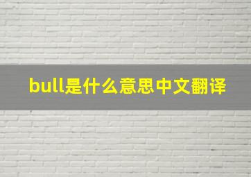 bull是什么意思中文翻译