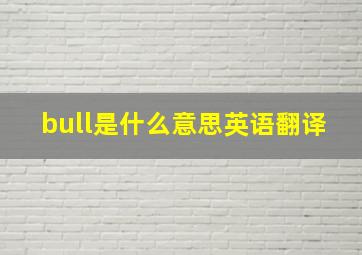 bull是什么意思英语翻译