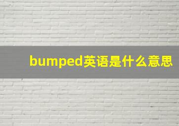 bumped英语是什么意思