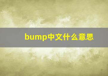 bump中文什么意思