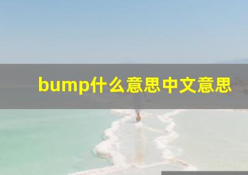 bump什么意思中文意思