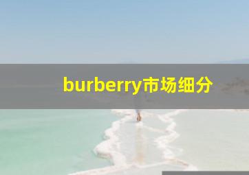 burberry市场细分