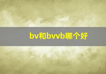 bv和bvvb哪个好