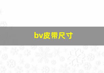 bv皮带尺寸