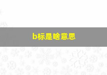 b标是啥意思