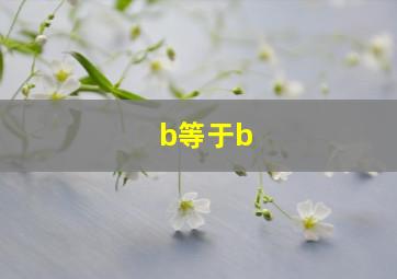 b等于b