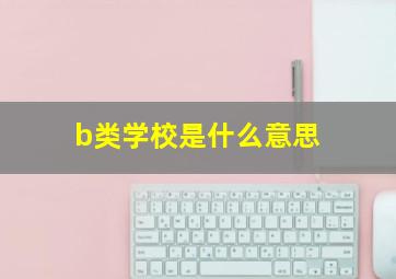 b类学校是什么意思