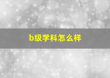 b级学科怎么样