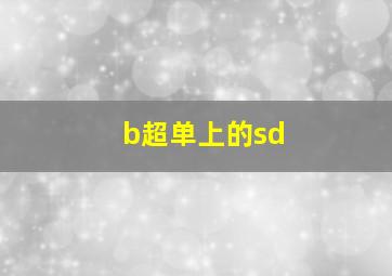 b超单上的sd