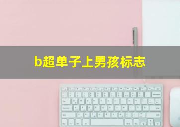 b超单子上男孩标志