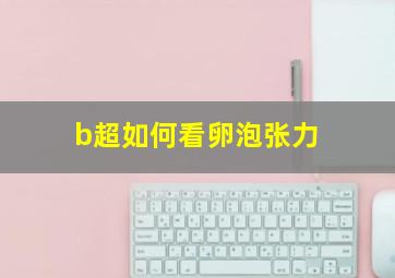 b超如何看卵泡张力