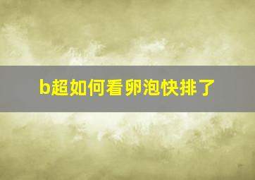 b超如何看卵泡快排了