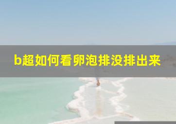 b超如何看卵泡排没排出来