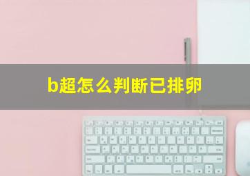 b超怎么判断已排卵