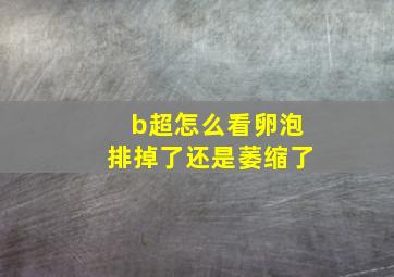 b超怎么看卵泡排掉了还是萎缩了