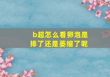 b超怎么看卵泡是排了还是萎缩了呢