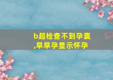 b超检查不到孕囊,早早孕显示怀孕