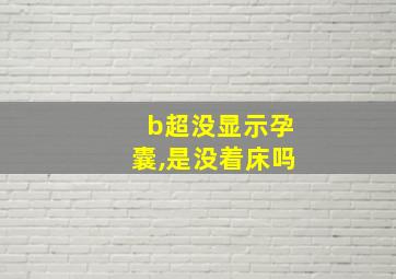 b超没显示孕囊,是没着床吗