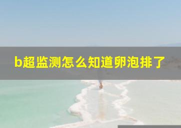 b超监测怎么知道卵泡排了