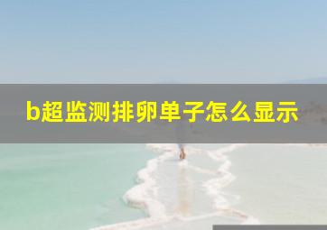 b超监测排卵单子怎么显示